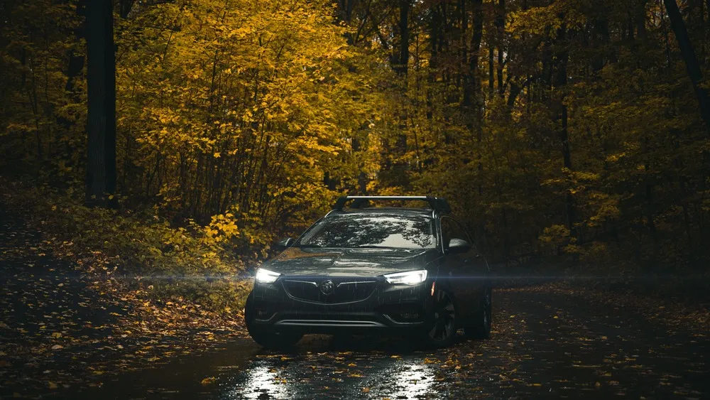 Buick SUV on a wooded road