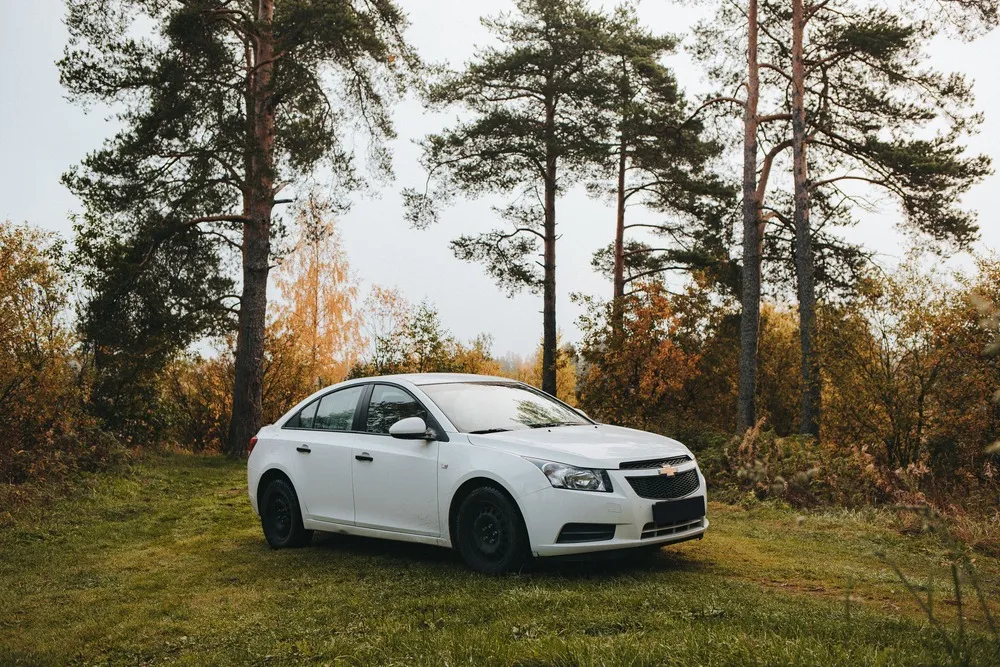 Chevrolet Malibu among pines