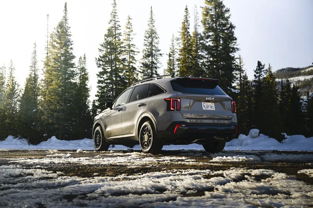 Kia Telluride on a forest road