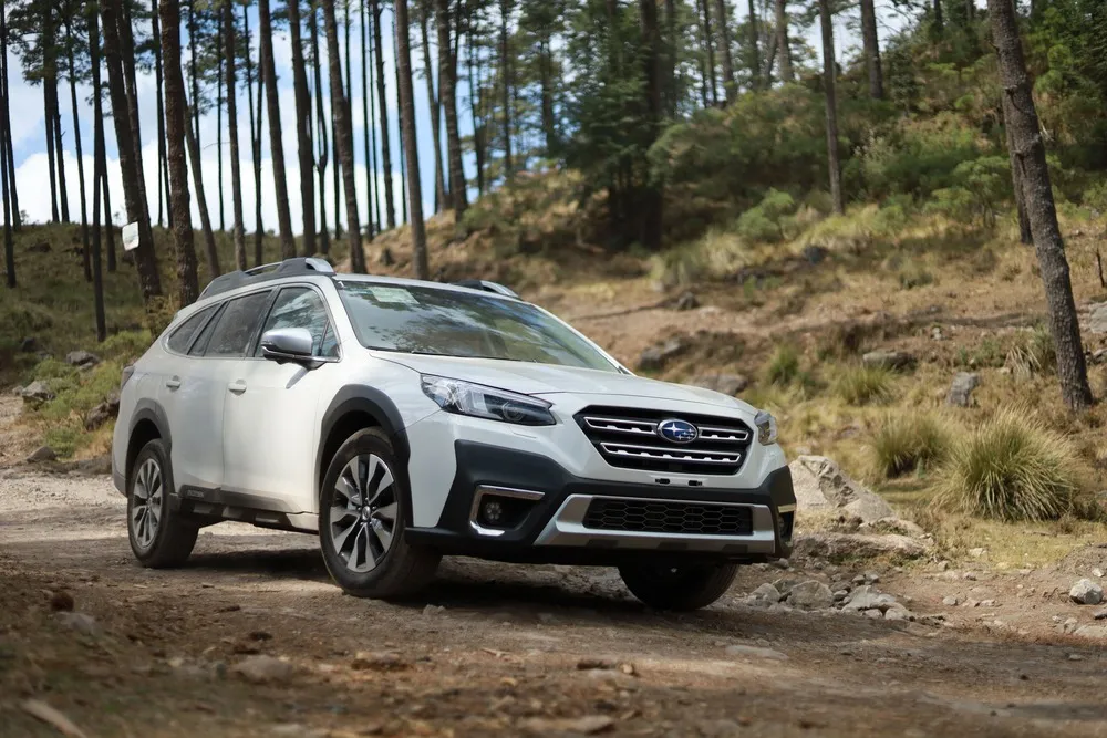 Subaru Outback on a forest trail