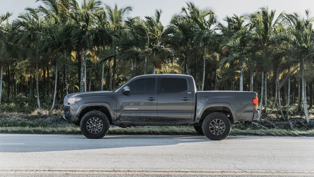 Toyota Tacoma under palms